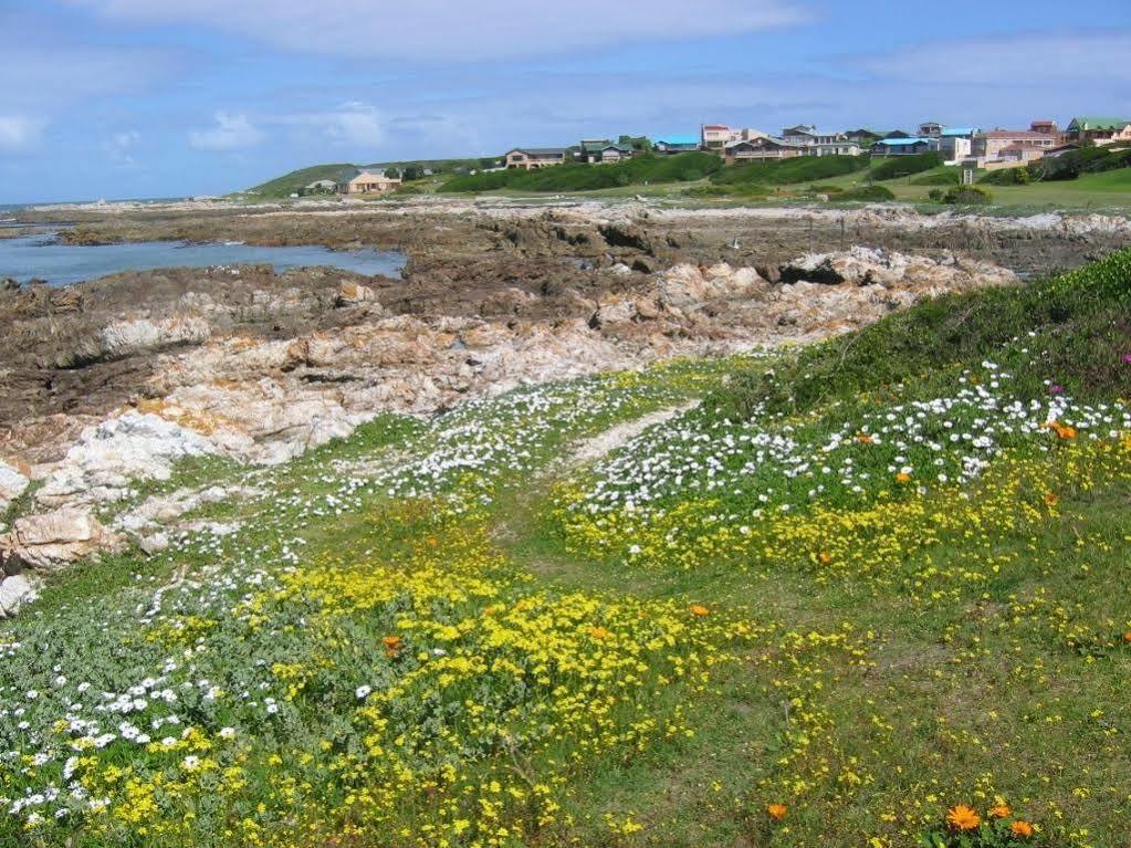Aire Del Mar Guest House Kleinbaai Экстерьер фото